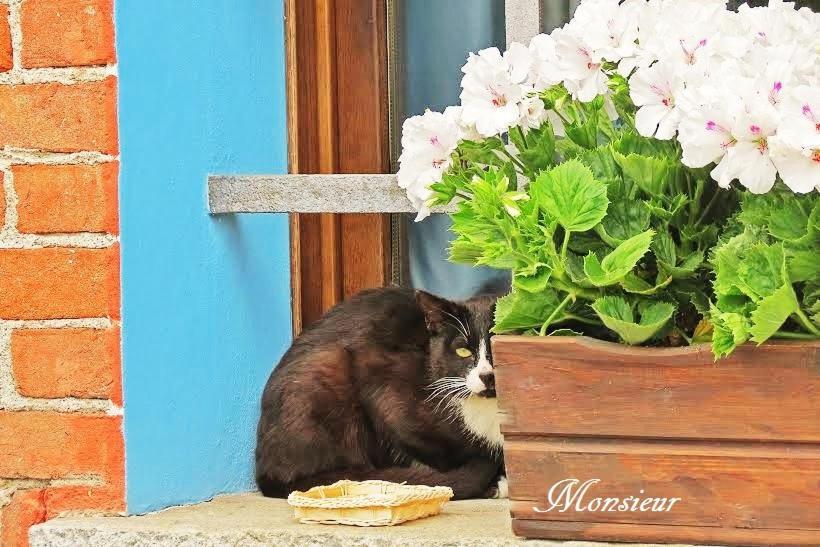 בית הארחה פינרולו 	Maison La Taupiniere מראה חיצוני תמונה